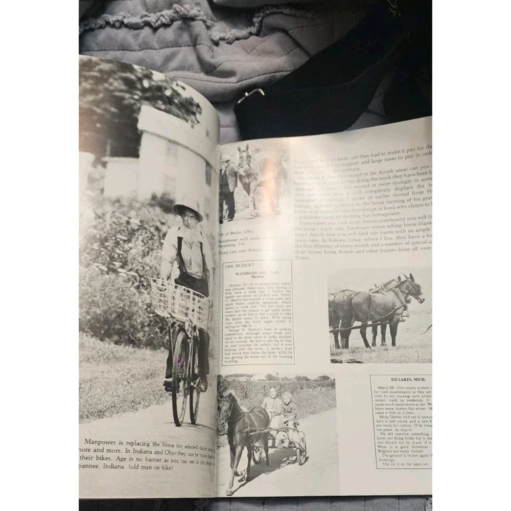 Collection of America's Amish Country Lot Of 2 Books Vtg The Amish Across Americ